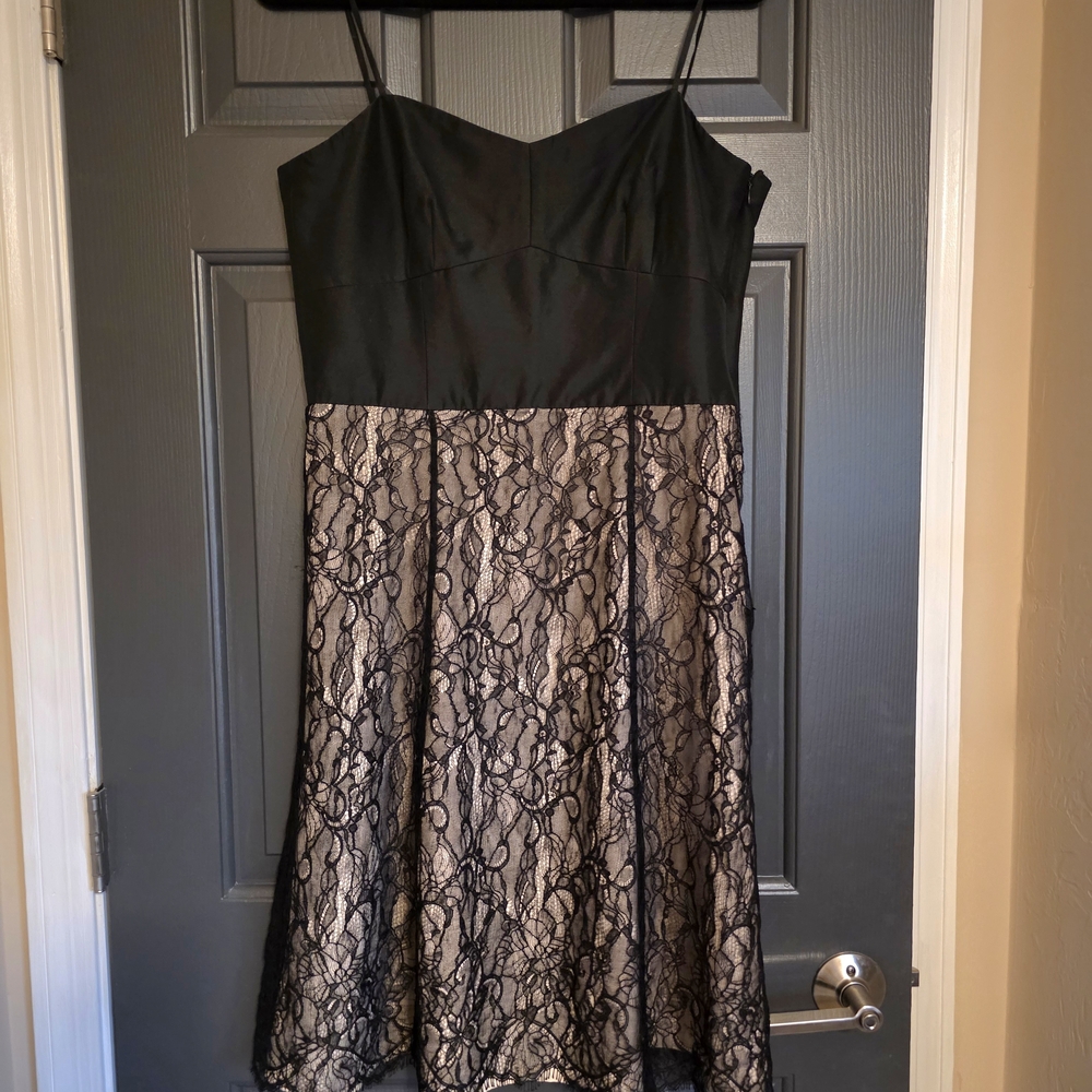 Ann Taylor Black Bodice with Nude Lace Overlay Fit-and-Flare Dress